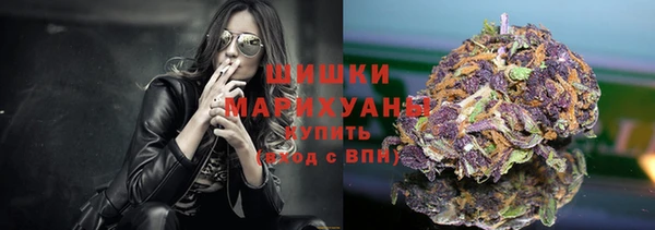 прущий лед Ельня