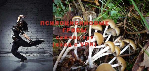 прущий лед Ельня