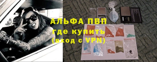 прущий лед Ельня