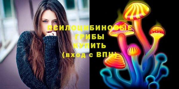 прущий лед Ельня