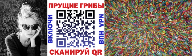 хочу наркоту  Луховицы  Галлюциногенные грибы MAGIC MUSHROOMS 